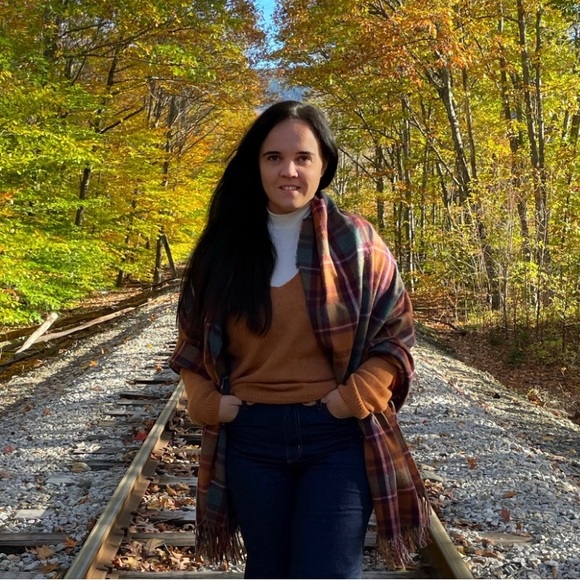 Free People Gossamer Terracotta Alpaca Wool Vneck Sweater Oversize XS - Picture 6 of 6